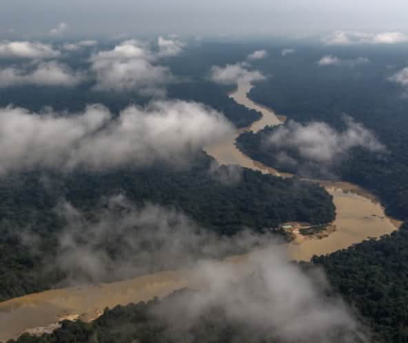 Vue aérienne de la forêt amazonienne