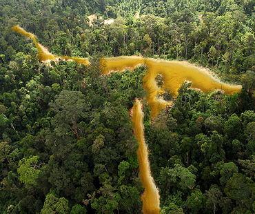 Vue aérienne d'une forêt tropicale sillonnée par une rivière dorée