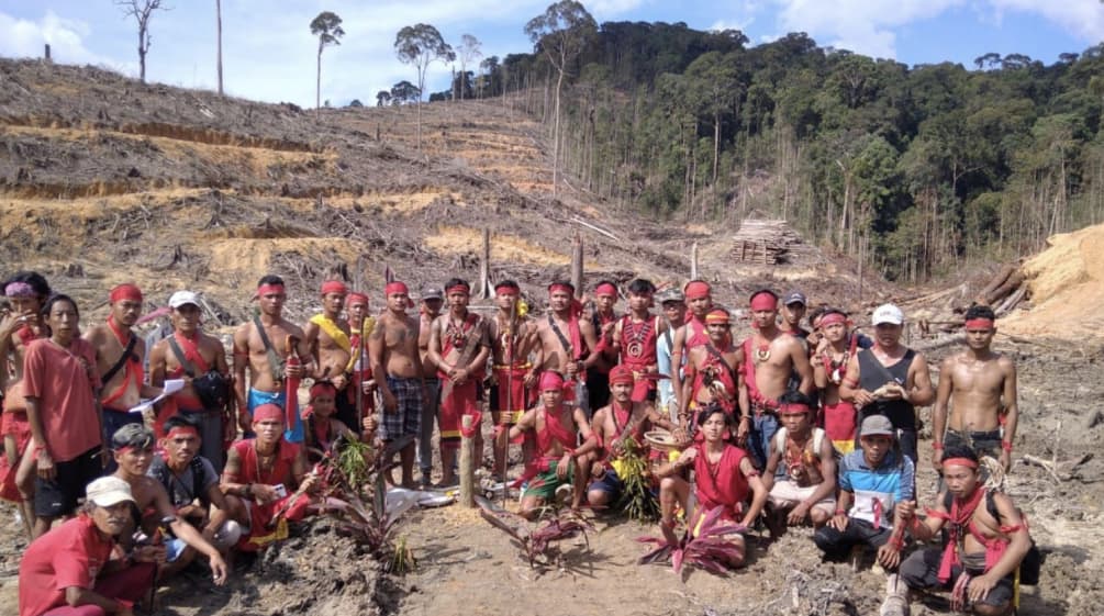 Les indigènes Dayak posent au milieu de la forêt coupée à blanc