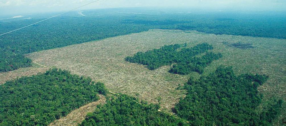 L'accord de libre échange de l'UE menace les forêts tropicales Vue aérienne de forêts humides partiellement défrichées en Colombie