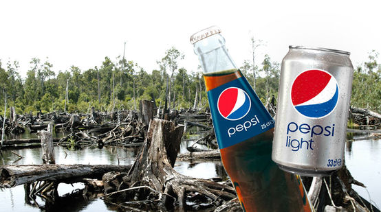 Une bouteille et une canette de Pepsi-Cola avec en arrière-plan une forêt tropicale en cours de défrichement.
