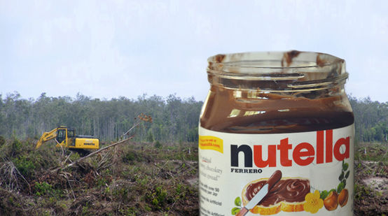 Photomontage avec un pot de Nutella en premier plan sur fond de forêt pluviale détruite par des bulldozers