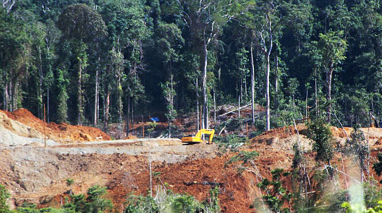 Il est encore possible d'empêcher les bulldozers de détruire la zone naturelle protégée