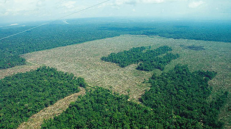 Vue aérienne de forêts humides partiellement défrichées en Colombie