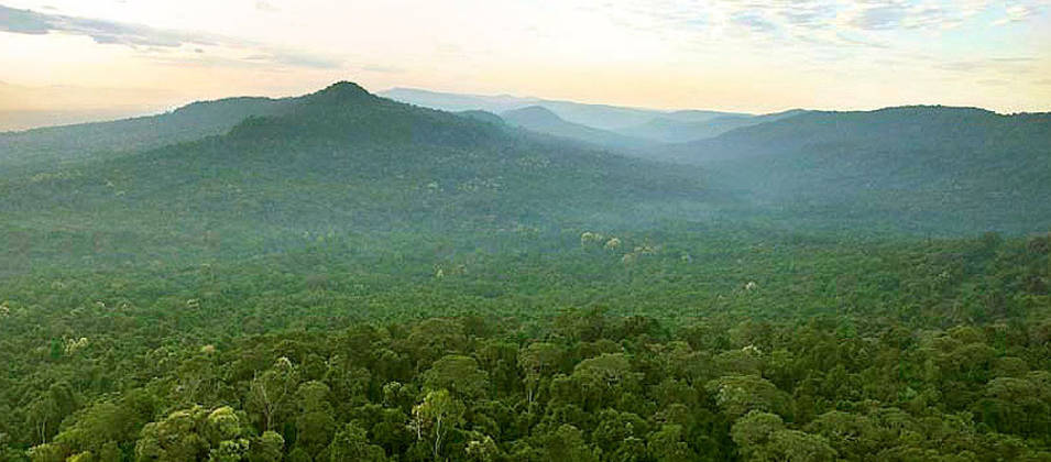 Vue aérienne sur les Monts Cardamome et les forêts pluviales les recouvrant