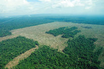 Vue aérienne de forêts humides partiellement défrichées en Colombie