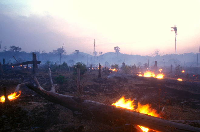 Défrichement par brûlis au Brésil