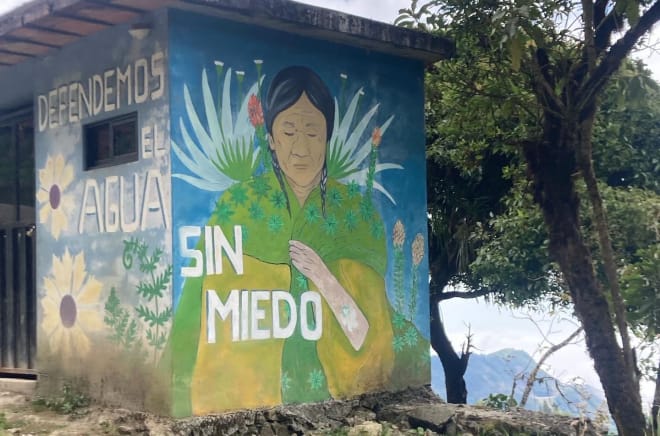 Fresque murale représentant une Autochtone et des motifs floraux ainsi que l’inscription : "Defendemos el agua sin miedo"