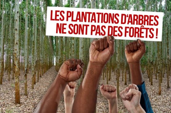 Phomontage pour la Journée contre les monocultures