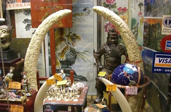 Ivoire dans un commerce