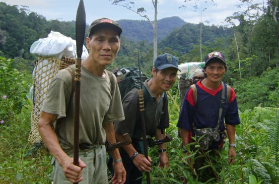 Trois indigènes du peuple Penan transportent des bagages dans des paniers sur leur dos à travers la forêt tropicale malaisienne