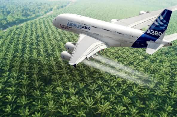 Photomontage : un avion Airbus en train de survoler une plantation de palmiers à huile