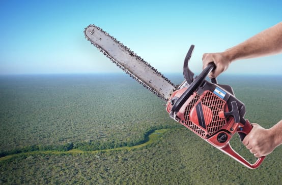 Photomontage : Chaco Argentine