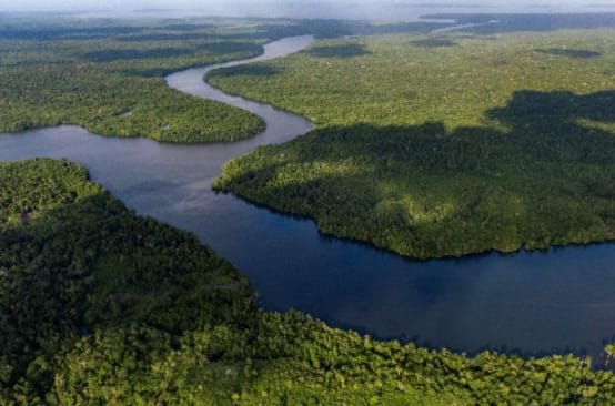Vue aérienne sur des boisées en Indonésie