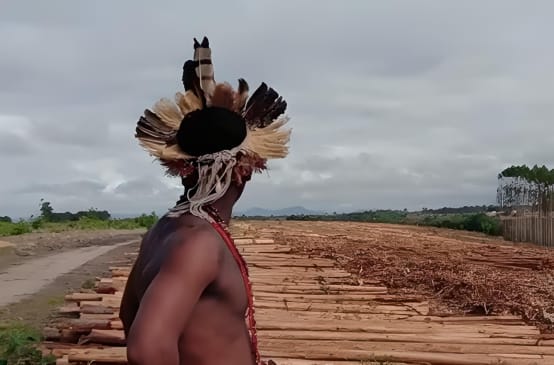 Indigène dans une plantation d’eucalyptus au Brésil