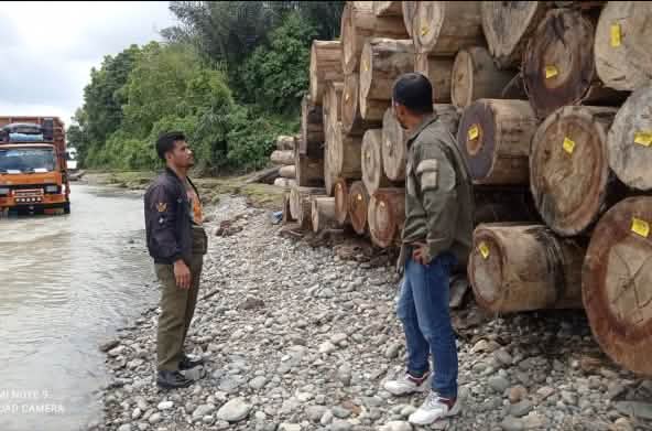 Deux hommes devant un tas de troncs d’arbres et un camion