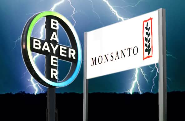 Bayer Monsanto Fusion