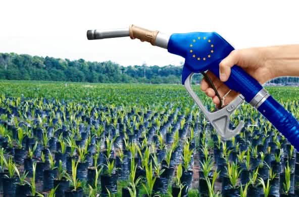 Photomontage : culture d'huile de palme et pompe à essence aux couleurs de l'Union européenne