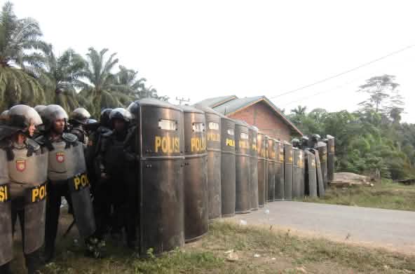 ndonésie : la police sécurise des plantations de palmier à huile