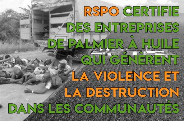 RSPO certifie des entreprises de palmier à huile qui génèrent la violence et la destruction dans les communautés