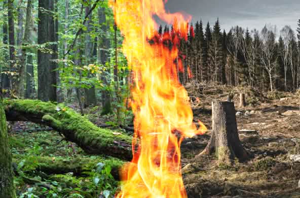 Photomontage Bioenergie