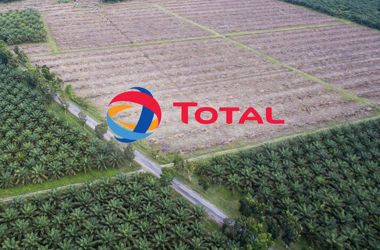 Logo de Total avec en arrière-plan des plantations de palmiers à huile en Indonésie