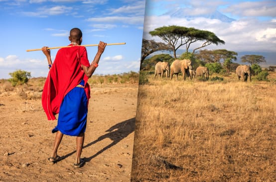 Photomontage : à gauche un Massaï qui regarde à droite au loin un groupe d’éléphants
