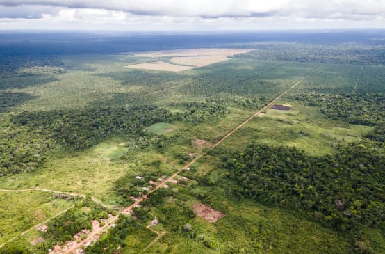 Vue aérienne d’une petite localité le long d’une piste rectiligne, avec derrière les plantations de palmiers à huile taillées dans la forêt tropicale