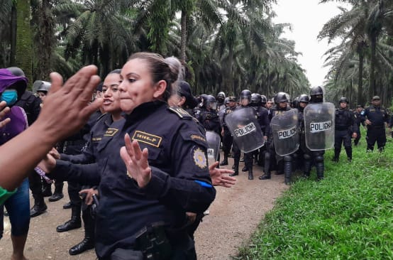 Un groupe d’intervention de policiers, portant casques de protection et boucliers, avance sur une piste dans une plantation de palmiers à huile