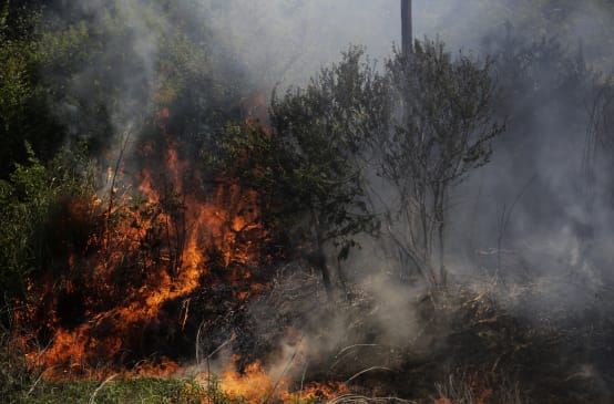 Des buissons sont en feu qui dégagent beaucoup de fumée