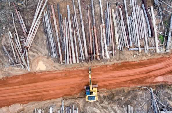 Vue aérienne : un excavateur du groupe Korindo en train de défricher la forêt pour ses plantations d’huile de palme dans la province indonésienne de Papouasie
