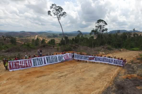 Manifestations contre l’huile de palme dans la forêt tropicale de Bornéo