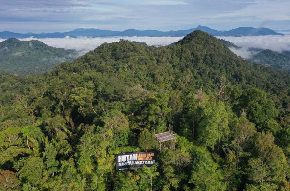Vue en plongée sur les forêts de Kinipan au milieu desquelles on peut voir une bannière de notre partenaire Save Our Borneo