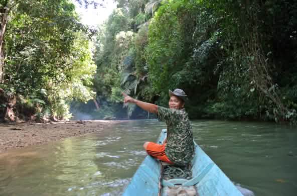 Sur son petit bateau, un homme montre la forêt tropicale du Sarawak avec enthousiasme