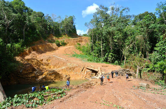 Zone défrichée au Sarawak (Malaisie)