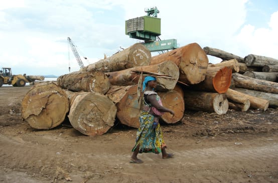 Tas de grumes dans le port de Kinshasa