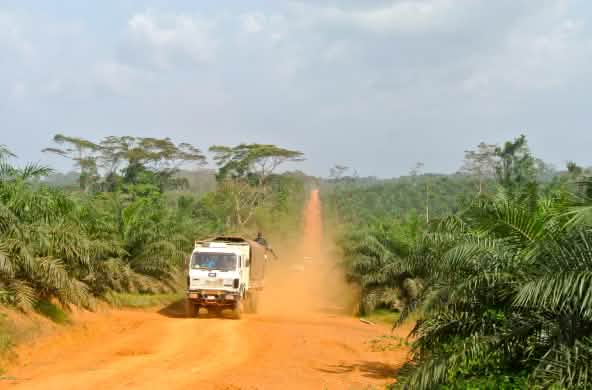 Un camion traverse une plantation de palmiers à huile au Liberia