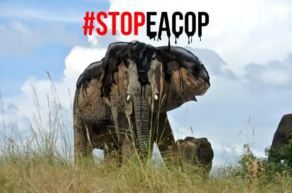 Photomontage : Le pétrole est un grand danger pour les éléphants - #StopEACOP
