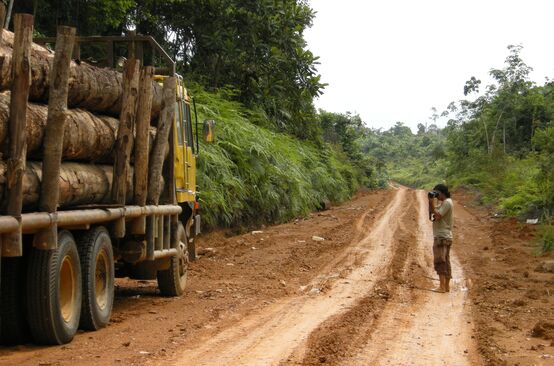 Une personne prend une photo d'un camion chargé de troncs d'arbres sur une route en terre dans la forêt tropicale