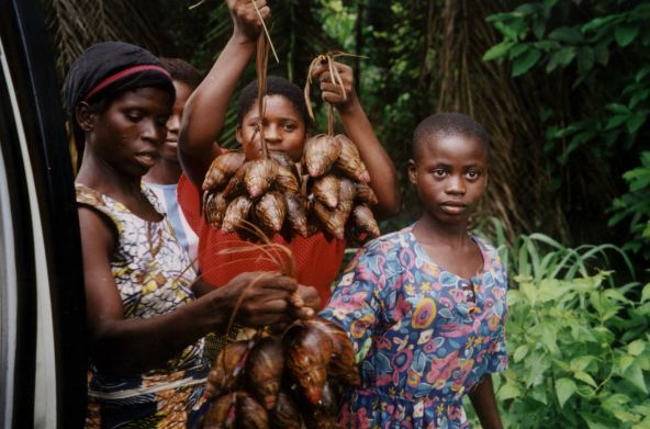 Des femmes du peuple autochtone Ekuri montrent le fruit de leur récolte dans la forêt de l’État de Cross River au Nigéria