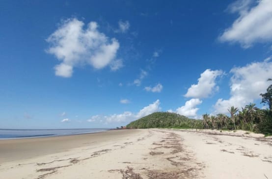 Plage immaculée avec son sable blanc et ses palmiers sur l’île de Cajual
