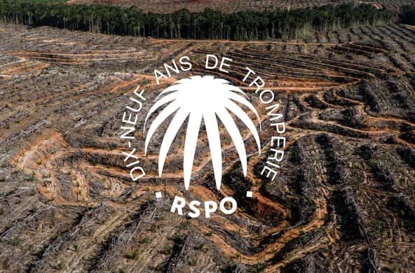 Collage : label RSPO dans lequel est inscrit "dix-neuf ans de tromperie" avec pour arrière-plan une zone de forêt tropicale déboisée.