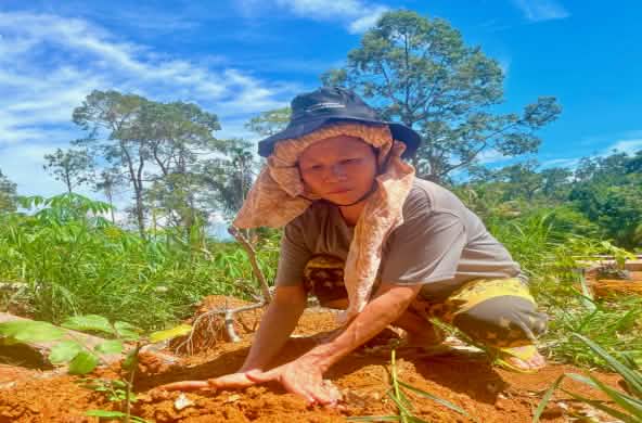 Une femme est accroupie par terre et plante un jeune arbre