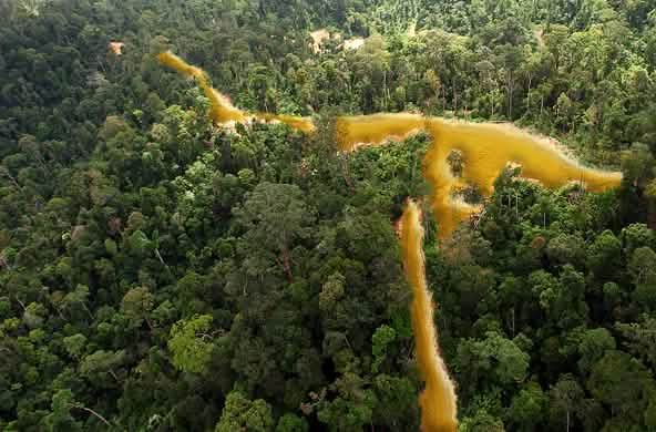 Vue aérienne d'une forêt tropicale sillonnée par une rivière dorée