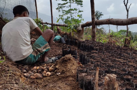 Un homme assis cultive des plants dans une pépinière