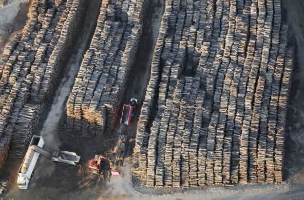 Tas de bois dans le sud de la France pour l'approvisionnement de la centrale E.On / Uniper à Gardanne