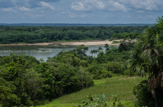 Igapo Project - Río Caquetá