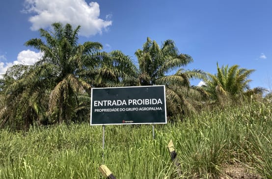 Panneau de signalisation devant une plantation de palmiers à huile sur lequel est inscrit (en brésilien) : ENTRÉE  INTERDITE - PROPRIÉTÉ DU GROUPE AGROPALMA