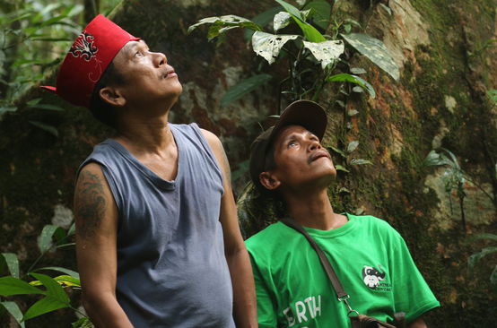 Des autochtones Dayak Tomun dans la forêt de Kinipan