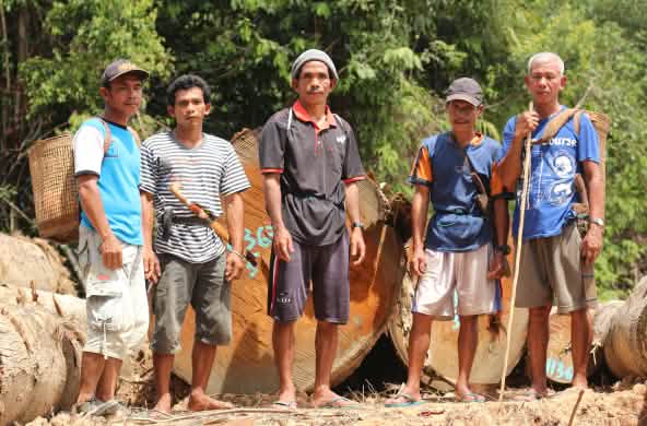 Des indigènes Dayak Tomun dans la forêt de Kinipan